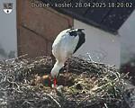 Capi_Dubne_20250428_182002.jpg