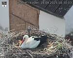 Capi_Dubne_20250428_183003.jpg