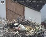 Capi_Dubne_20250428_183503.jpg