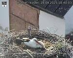 Capi_Dubne_20250428_184003.jpg