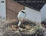 Capi_Dubne_20250428_185502.jpg