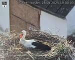 Capi_Dubne_20250428_190003.jpg