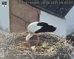 Capi_Dubne_20250428_190503.jpg