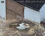 Capi_Dubne_20250428_191003.jpg