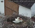 Capi_Dubne_20250428_191503.jpg