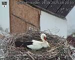 Capi_Dubne_20250428_192003.jpg