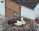 Capi_Dubne_20250428_193003.jpg