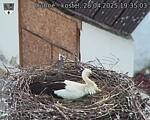 Capi_Dubne_20250428_193503.jpg