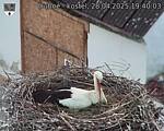 Capi_Dubne_20250428_194003.jpg