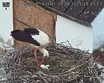 Capi_Dubne_20250428_194503.jpg