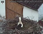 Capi_Dubne_20250428_195503.jpg