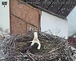 Capi_Dubne_20250428_200003.jpg
