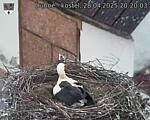 Capi_Dubne_20250428_202003.jpg