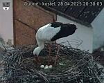 Capi_Dubne_20250428_203003.jpg