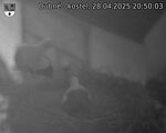 Capi_Dubne_20250428_205003.jpg