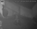 Capi_Dubne_20250428_205502.jpg
