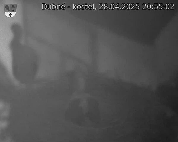 Capi_Dubne_20250428_205502.jpg (1350 x 1080)