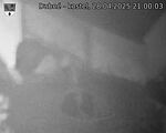 Capi_Dubne_20250428_210003.jpg