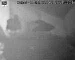 Capi_Dubne_20250428_210503.jpg