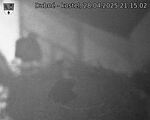 Capi_Dubne_20250428_211502.jpg