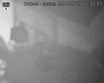 Capi_Dubne_20250428_212003.jpg