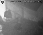 Capi_Dubne_20250428_213002.jpg