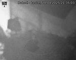 Capi_Dubne_20250428_213503.jpg