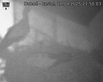 Capi_Dubne_20250428_215003.jpg