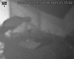 Capi_Dubne_20250428_215502.jpg