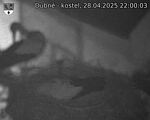 Capi_Dubne_20250428_220003.jpg