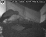 Capi_Dubne_20250428_220503.jpg