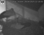 Capi_Dubne_20250428_221002.jpg