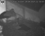 Capi_Dubne_20250428_223003.jpg