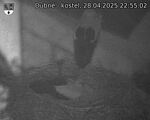 Capi_Dubne_20250428_225502.jpg
