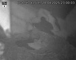Capi_Dubne_20250428_230003.jpg