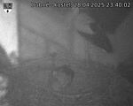 Capi_Dubne_20250428_234002.jpg