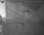 Capi_Dubne_20250428_234502.jpg
