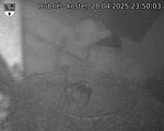 Capi_Dubne_20250428_235003.jpg