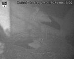 Capi_Dubne_20250429_001502.jpg