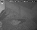 Capi_Dubne_20250429_004003.jpg