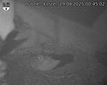 Capi_Dubne_20250429_004502.jpg