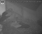 Capi_Dubne_20250429_011003.jpg