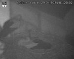 Capi_Dubne_20250429_012002.jpg