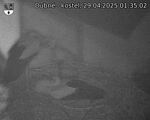 Capi_Dubne_20250429_013502.jpg