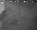 Capi_Dubne_20250429_014003.jpg