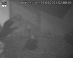 Capi_Dubne_20250429_020003.jpg