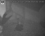 Capi_Dubne_20250429_021503.jpg