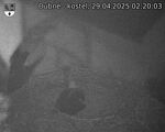 Capi_Dubne_20250429_022003.jpg