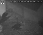 Capi_Dubne_20250429_023503.jpg