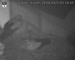 Capi_Dubne_20250429_031003.jpg